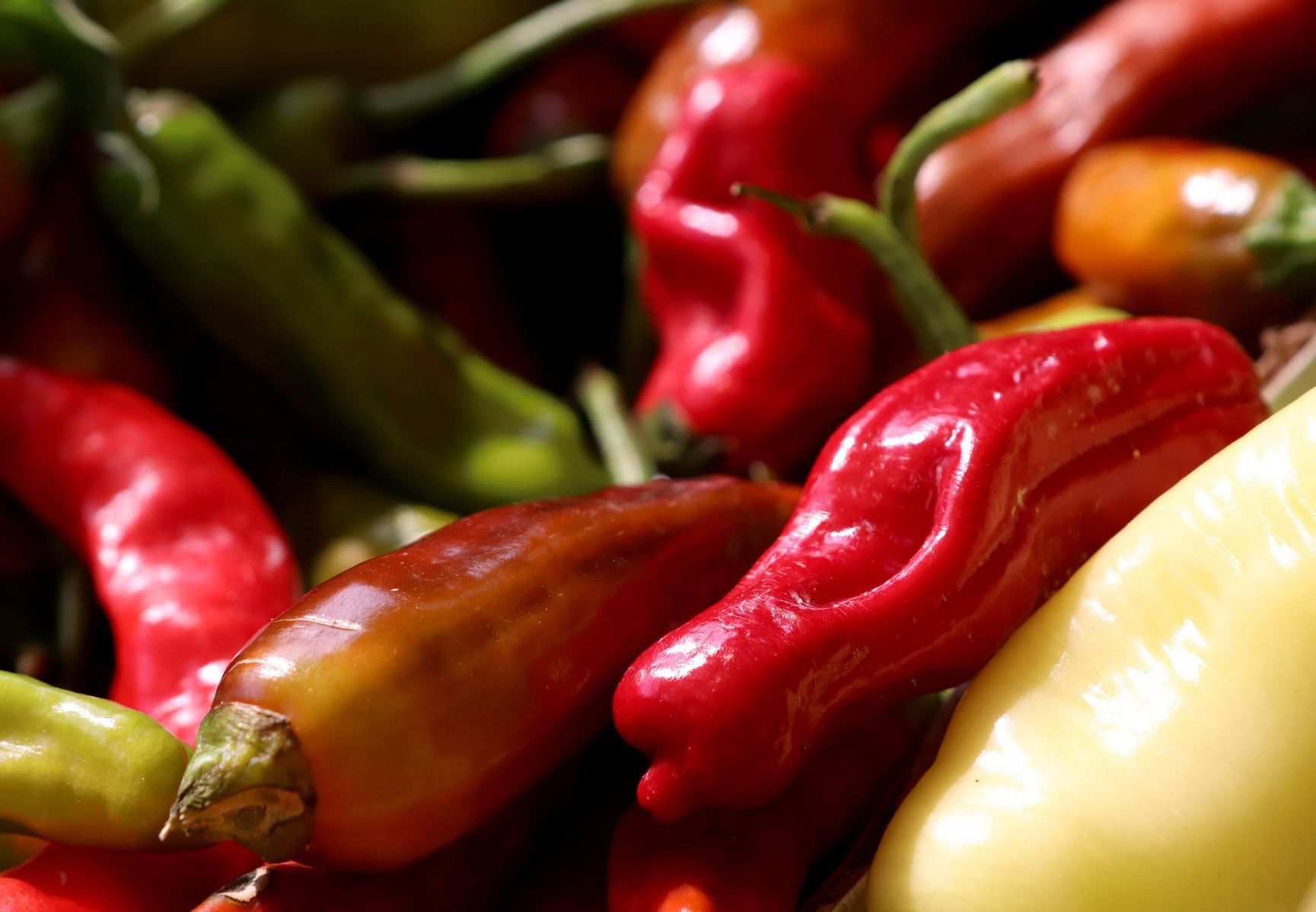 Tower Grove Farmers Market